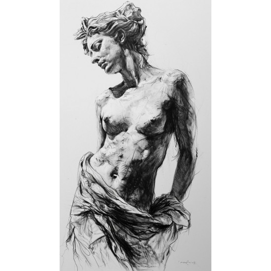 Aphrodite de milo - Πίνακας σε καμβά