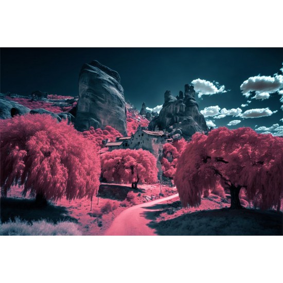 Blossom 2 - Πίνακας σε καμβά