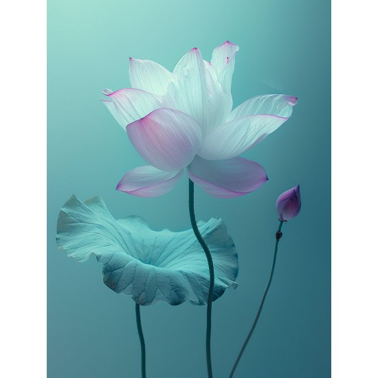 Lotus - Πίνακας σε καμβά - Πίνακας σε καμβά Κάδρα / Καμβάδες