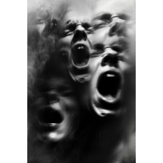 Screamers - Πίνακας σε καμβά - Πίνακας σε καμβά Κάδρα / Καμβάδες