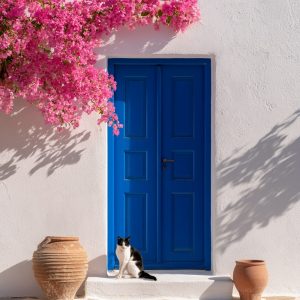 Γάτα στη μπλε πόρτα με μπουκαμβίλιες - Πίνακας σε καμβά