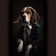 Beagle gangster - Πίνακας σε καμβά Κάδρα / Καμβάδες