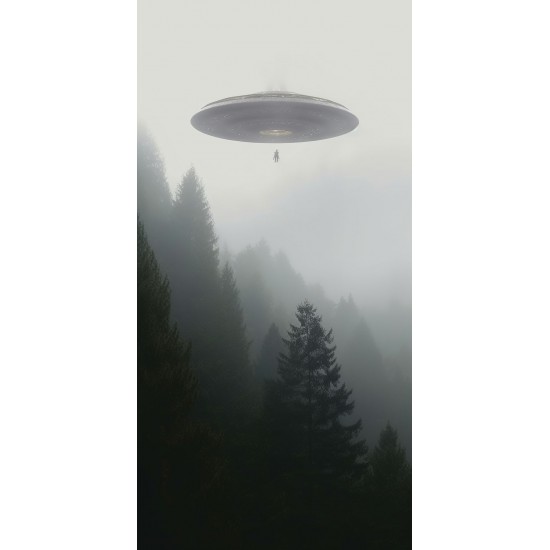 Rapture - Πίνακας σε καμβά