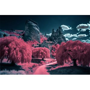 Blossom 2 - Πίνακας σε καμβά