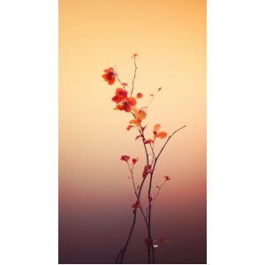 Blossom branch - Πίνακας σε καμβά