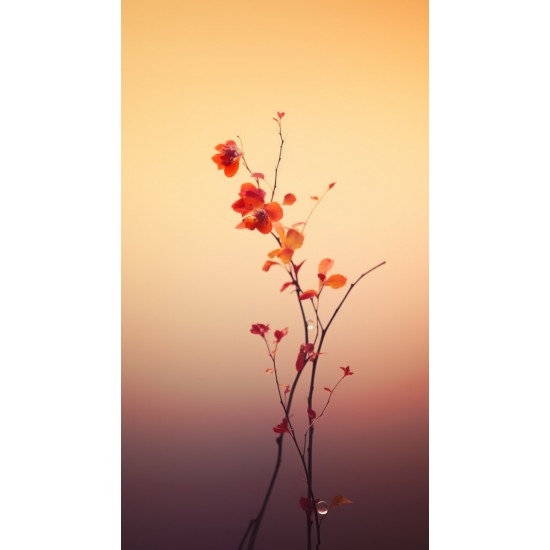 Blossom branch - Πίνακας σε καμβά Κάδρα / Καμβάδες