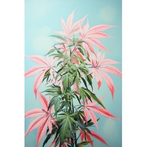 Cannabis 2 - Πίνακας σε καμβά
