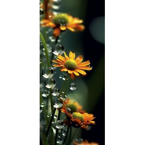 Dewdrops flower 5 - Πίνακας σε καμβά