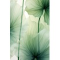 Green lotus leaf - Πίνακας σε καμβά Κάδρα / Καμβάδες Green lotus leaf - Πίνακας σε καμβά Κάδρα / Καμβάδες