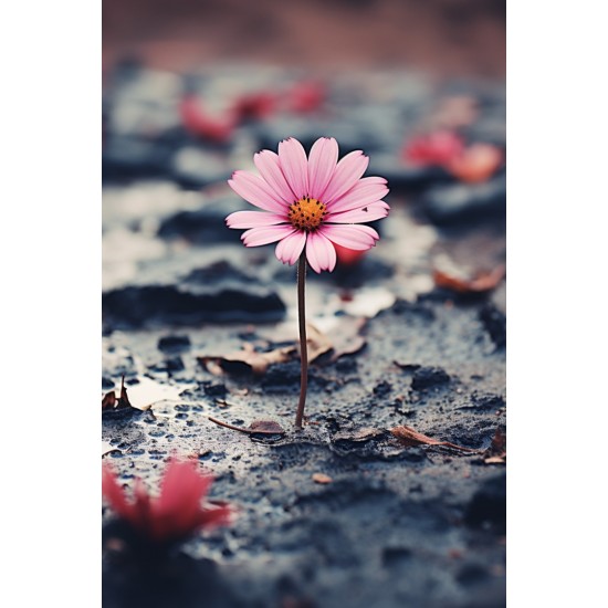 Pink flower on the ground - Πίνακας σε καμβά Κάδρα / Καμβάδες