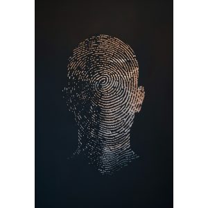 Fingerprint - Πίνακας σε καμβά