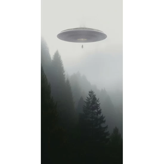 Rapture - Πίνακας σε καμβά