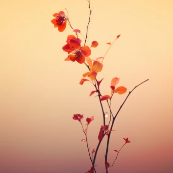 Blossom branch - Πίνακας σε καμβά