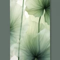 Green lotus leaf - Πίνακας σε καμβά