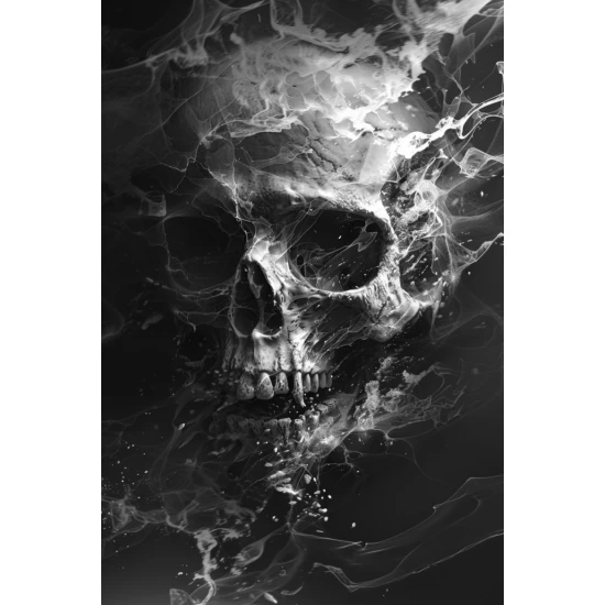 The skull - Πίνακας σε καμβά