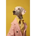 Dalmatian elegance - Πίνακας σε καμβά